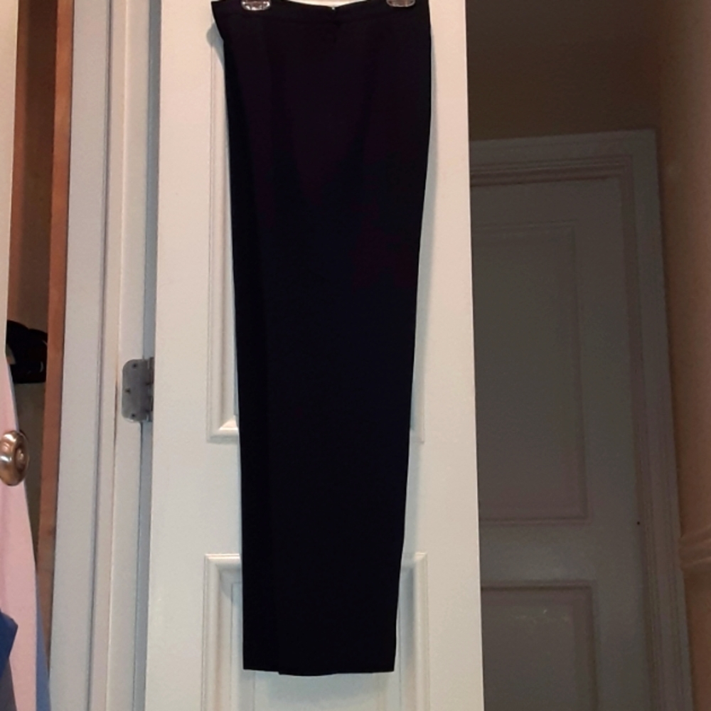 Petite Sophisticate Women's Navy Blue Pleated Pant. Size: 4(P).